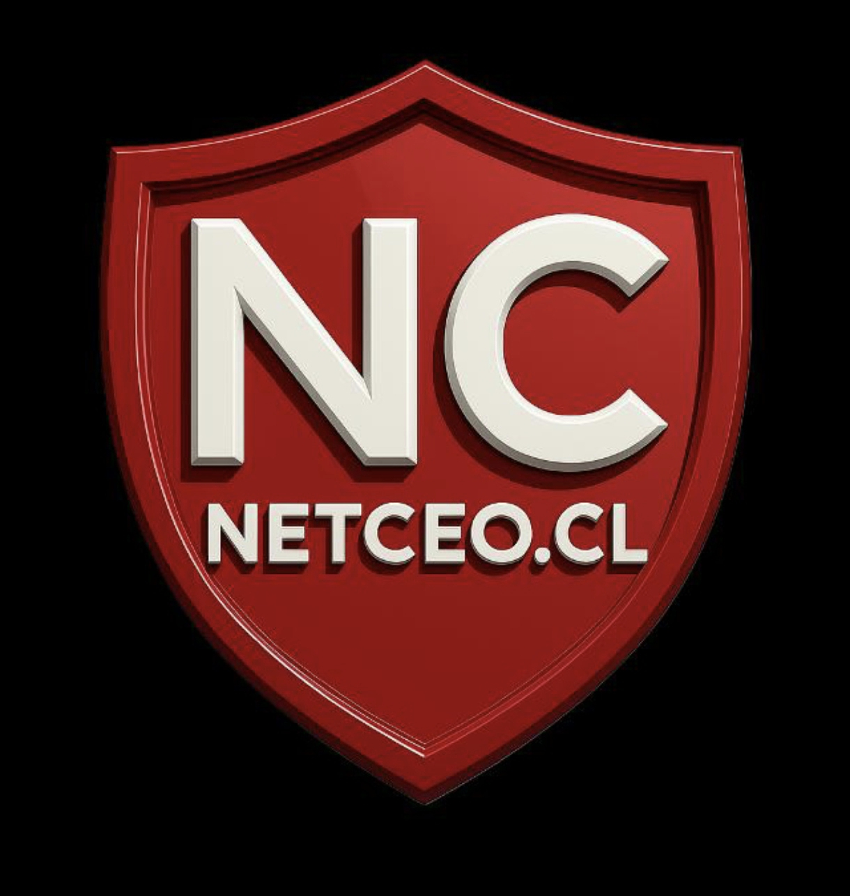 Logo NetCeo